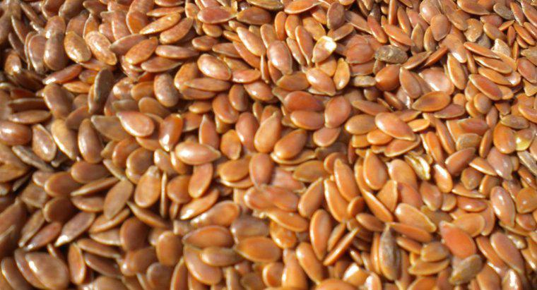 Cât de mult trebuie să luați semințe pe zi?