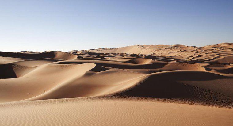 Care sunt unele fapte despre deșertul arab?