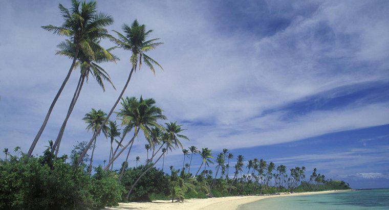 Care sunt unele caracteristici fizice ale Fiji?
