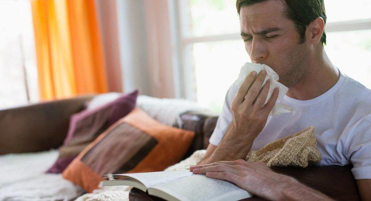 Ce se întâmplă dacă pneumonia nu este tratată?