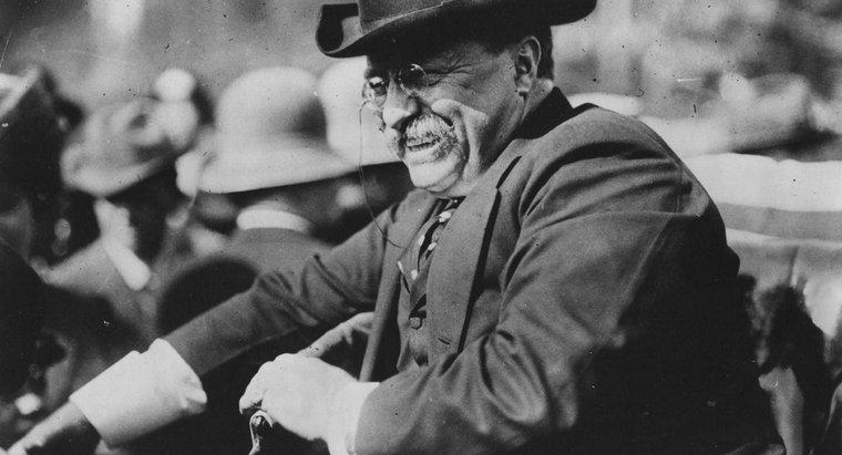 De ce a fost denumit Theodore Roosevelt "încredere în Buster"?
