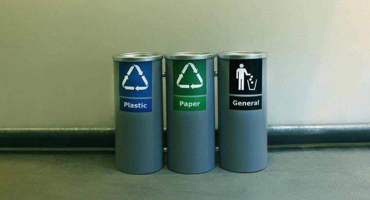 Ce s-ar întâmpla dacă oamenii nu ar recicla?