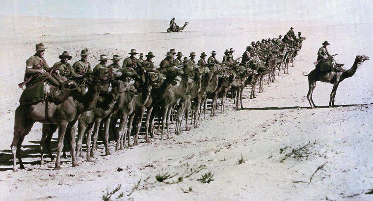Cum a contribuit imperialismul la primul război mondial?