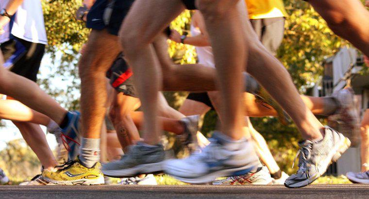 Care este procentul populației care desfășoară un maraton?