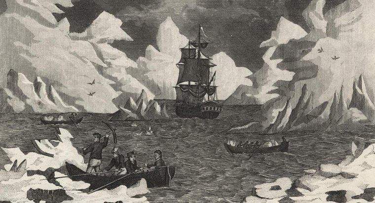 Cine a descoperit prima dată Antarctica?