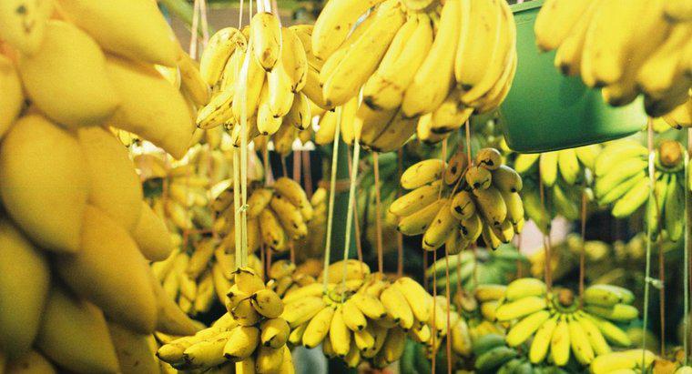 Câte banane sunt în lire?