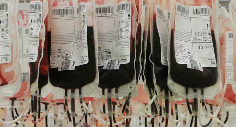 Ce este tipul de donator de sânge universal?