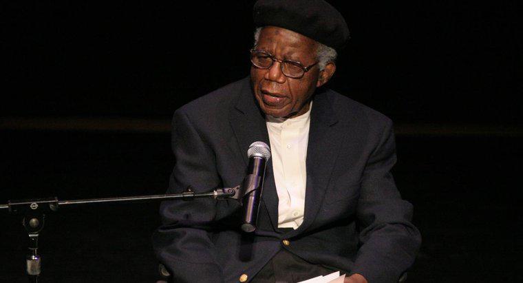 Care este povestea scurta "The Voter" de Chinua Achebe Despre?