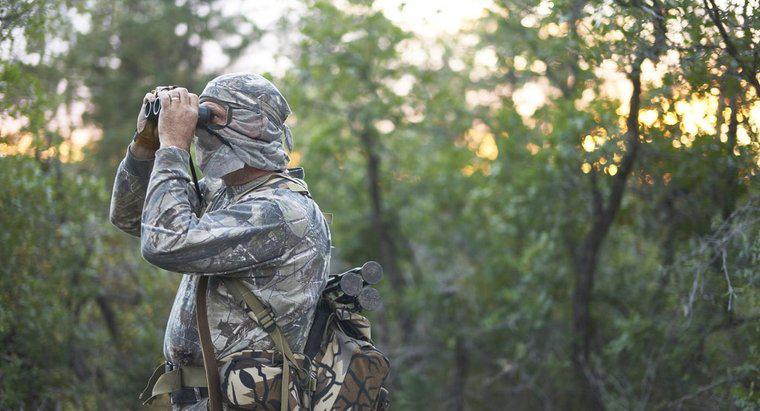 Care sunt zonele de pe hartă Zonele de vânătoare din Deer în Minnesota?