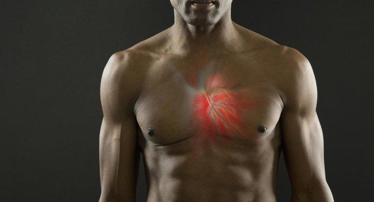 Este posibil ca mușchiul cardiac să fie tetanos?