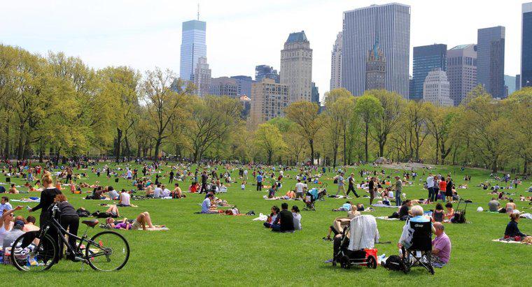 Cât de mare este parcul central din New York City?
