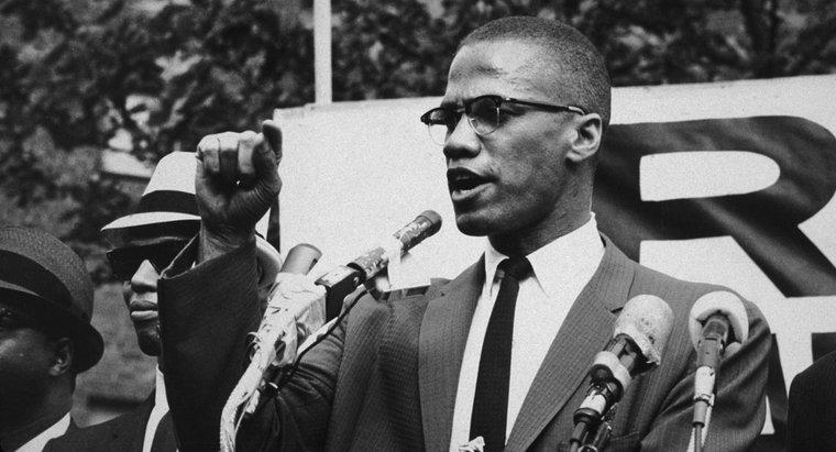 Pentru ce a luptat Malcolm X?