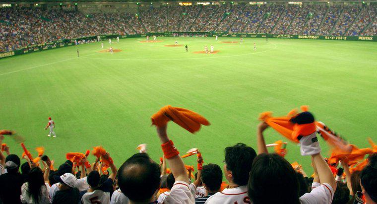 Care este cel mai popular sport din Japonia?