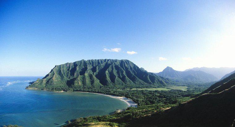 Ce inseamna elita Hawaiiana?