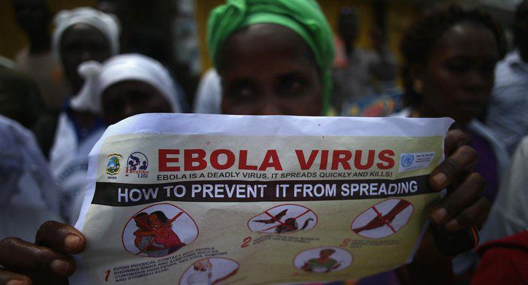 Cum se pot proteja oamenii de boala virusului Ebola?