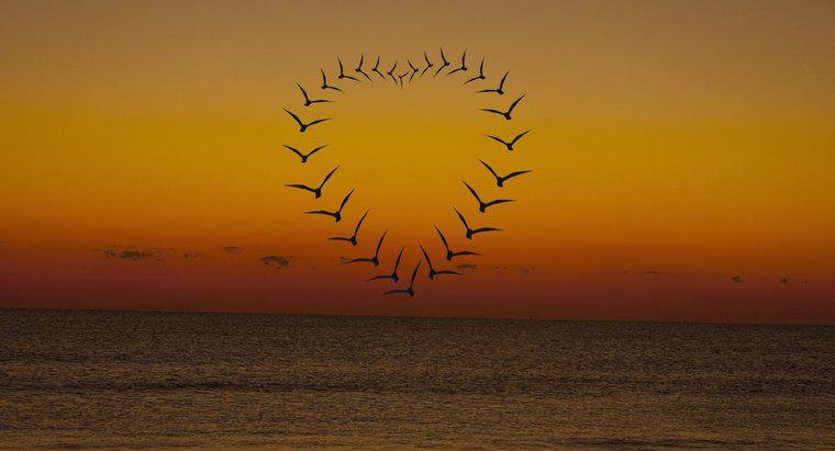 Ce simbolizează o inimă cu aripi?