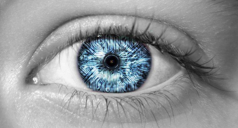 Ceea ce permite ochiului uman să vadă culorile?