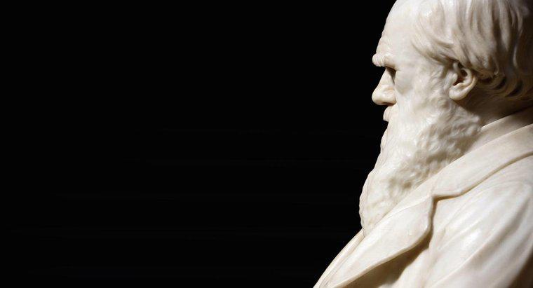 Unde a venit Charles Darwin la școală?
