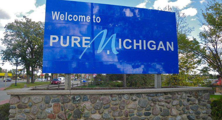 Cum a ajuns Michigan numele?