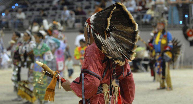 Ce au mancat indienii din Apache?