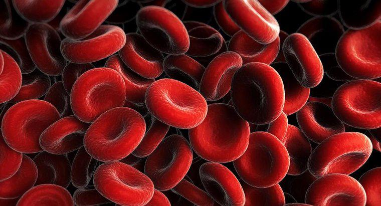 Ceea ce determină numărul de celule roșii ale sângelui sanguin să fie scăzut?