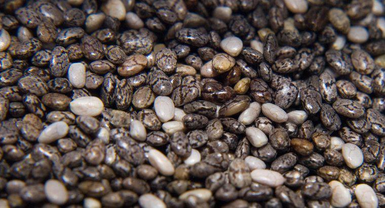 Care sunt efectele secundare ale semințelor Chia?