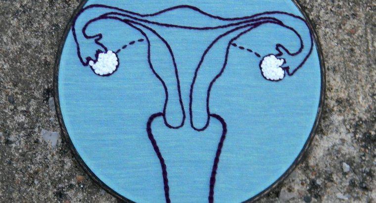 Ce este un hormon produs în ovare?