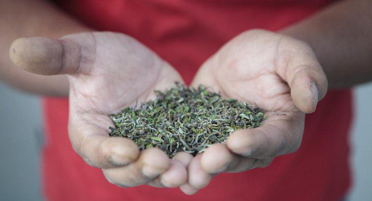 Care sunt beneficiile pentru sănătate ale ceaiului Darjeeling?