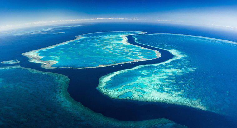 Cât timp este Marea Barieră de Corali?