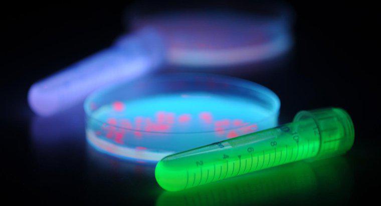 Cum protejează becurile UV de inhibarea creșterii bacteriene?