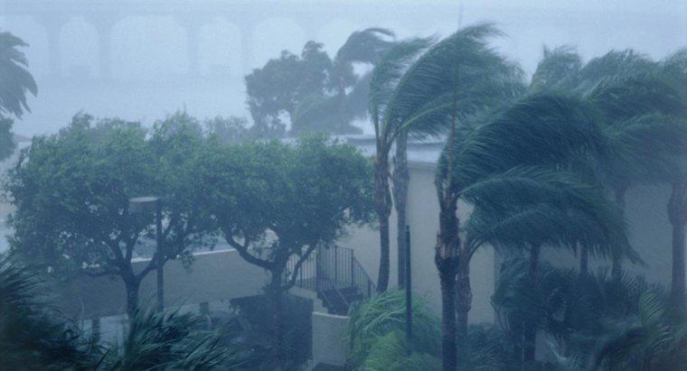 Cum cresc rezistența uraganelor?