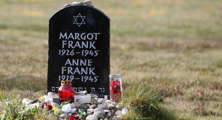 Care au fost cele mai importante realizări ale lui Anne Frank?