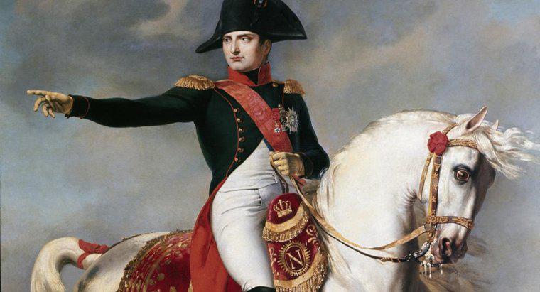 Care Scopul Revoluției a reușit să-l atingă pe Napoleon?