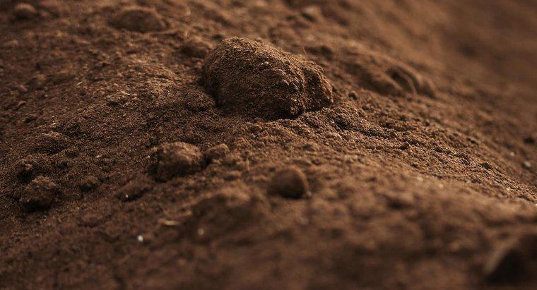Care sunt unele dintre diferitele tipuri de sol?
