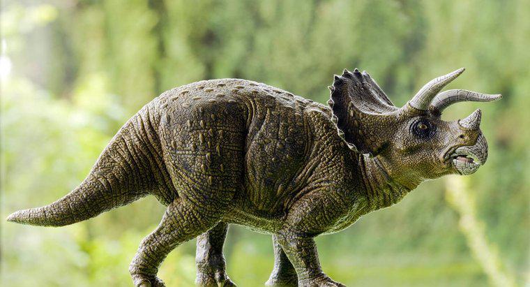 Ce au mâncat Triceratops?