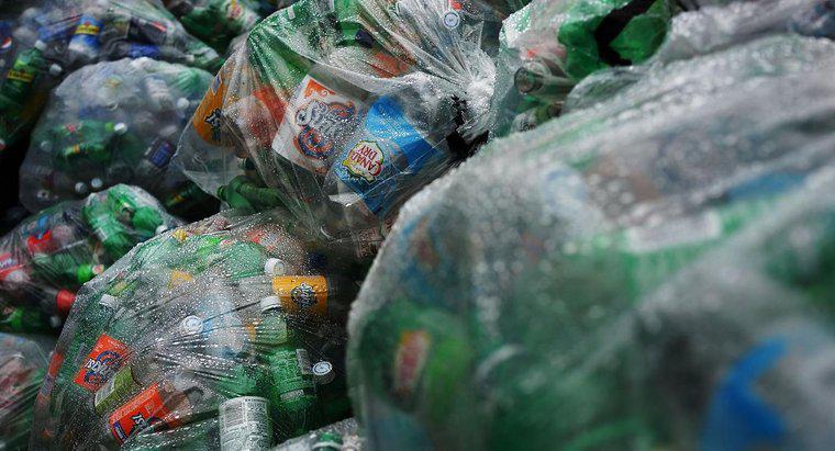 Care este procentul de reciclare a oamenilor?