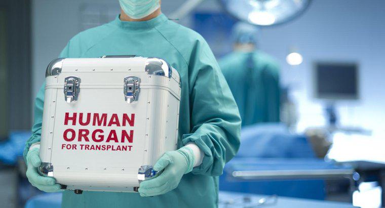 Când a fost inventat transplantul cardiac?