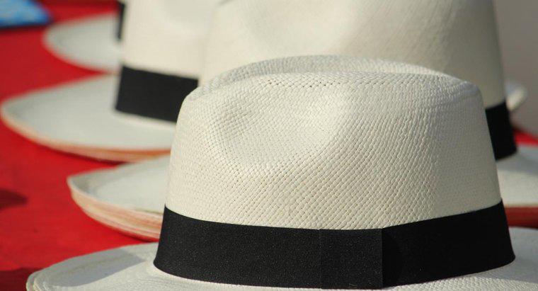 Care țară face Panama pălării?