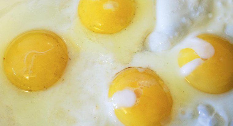 Cine a fost prima persoană care a mâncat un ou?