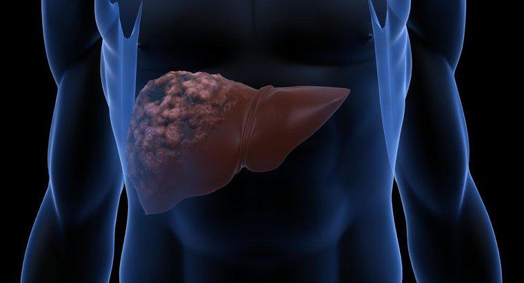 Care sunt cauzele bolii hepatice?