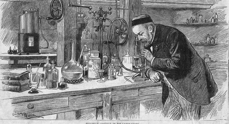 Ce a descoperit Louis Pasteur?