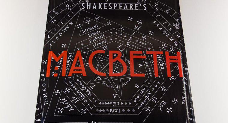 Care este motivul pe care Macbeth îl acordă pentru uciderea a două gărzi ale lui Duncan?