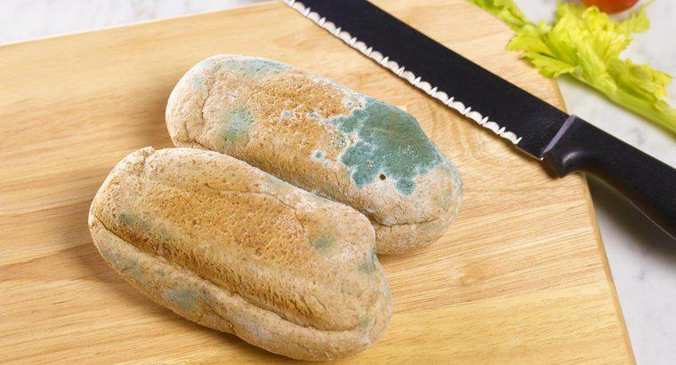 Ce este pâinea mold?