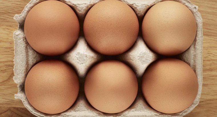 Care sunt părțile unui ou?