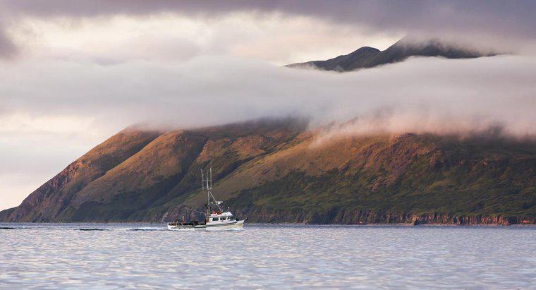 Ce grup de mici insule formează coada lungă din Alaska?